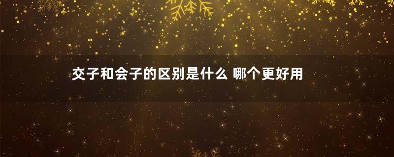 交子和会子的区别是什么 哪个更好用
